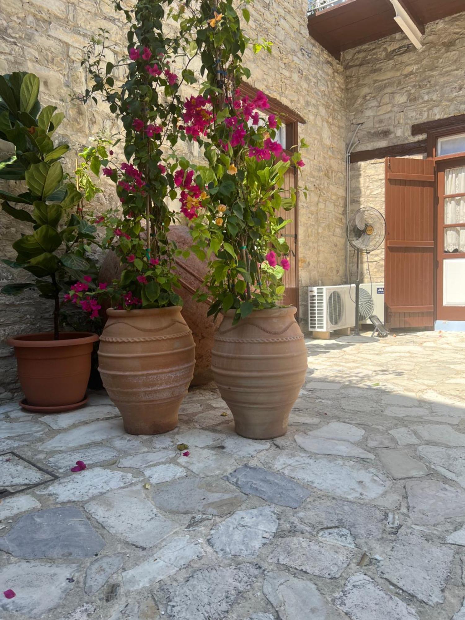 Villa Theodorou Lefkara Экстерьер фото